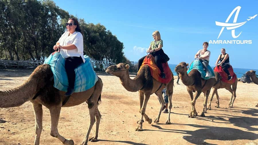 Day trip from Gibraltar to Morocco All Inclusive - Moroccan lunch and free time