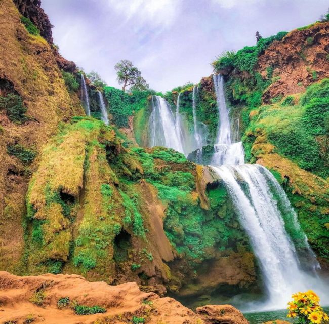 Day trip from Marrakech to Ouzoud Waterfalls - Small details that can make the day better