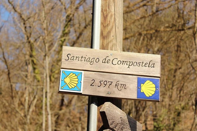 Day Trip from Porto to Santiago de Compostela and Valença - Lunch in Galicia