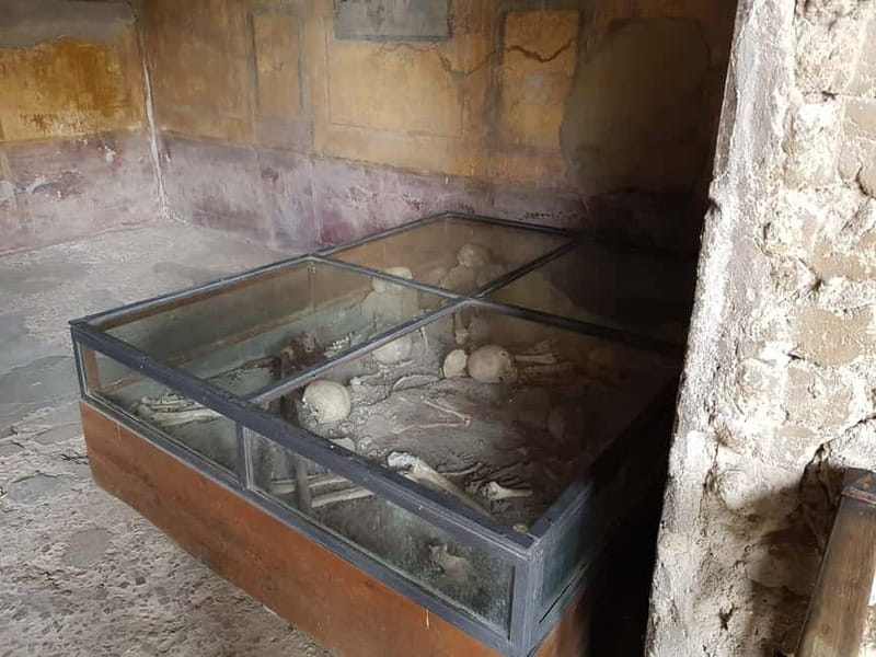 Day Trip from Rome: Explore Pompeii & Sorrento Amalfi Coast - Pompeii beyond the famous plaster casts