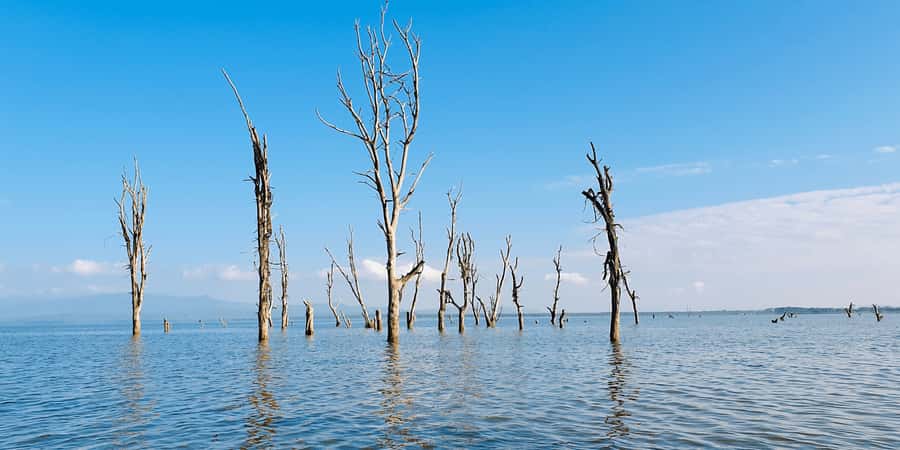 Day Trip: Hell's Gate Bike Ride & Lake Naivasha Boat Ride - Lunch near the park