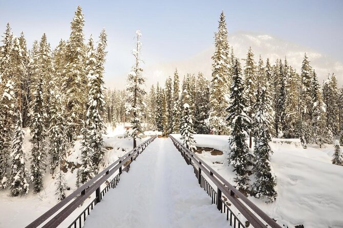 Day Trip: Lake Louise, Moraine Lake, Emerald Lake, Banff - Marble Canyon and the short walk across seven bridges