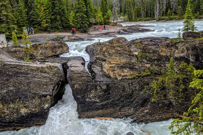 Day Trip: Lake Louise, Moraine Lake, Emerald Lake, Banff - Lake Louise, the day’s first major lake