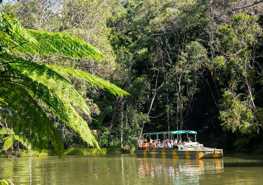Day Trip: Rainforest & Aboriginal Culture Tour - Why this Cairns day trip works