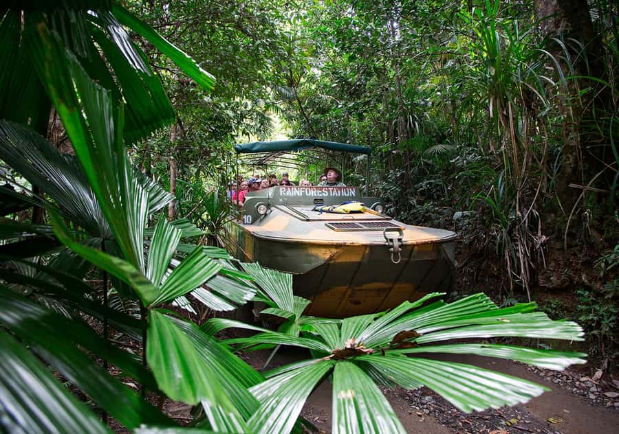 Day Trip: Rainforest & Aboriginal Culture Tour - Transport, pickup, and the long day