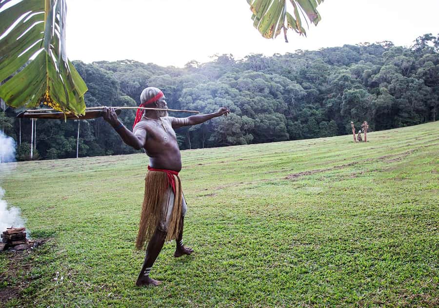 Day Trip: Rainforest & Aboriginal Culture Tour - Who gets the best value from the $84 price