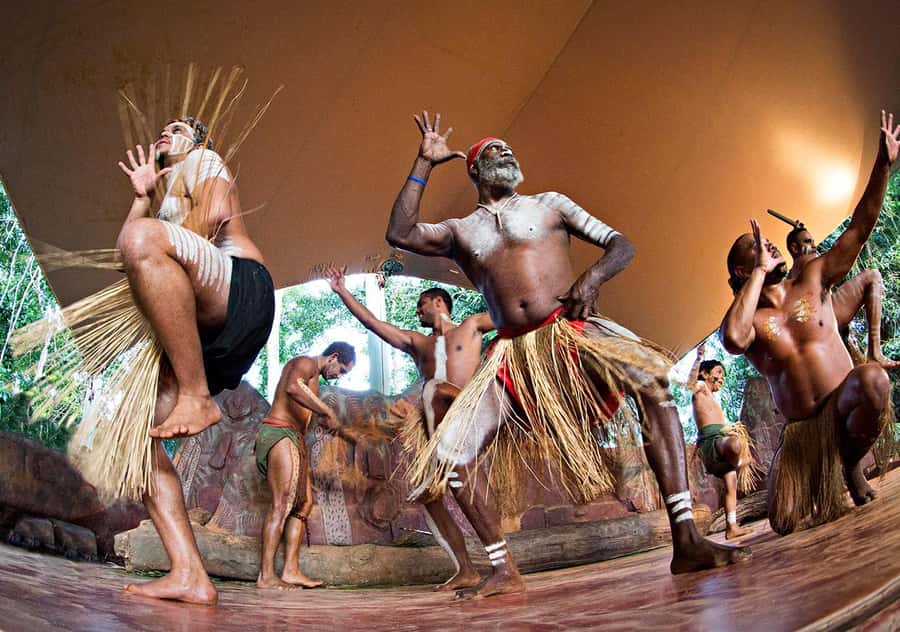Day Trip: Rainforest & Aboriginal Culture Tour - What to bring and how to prepare