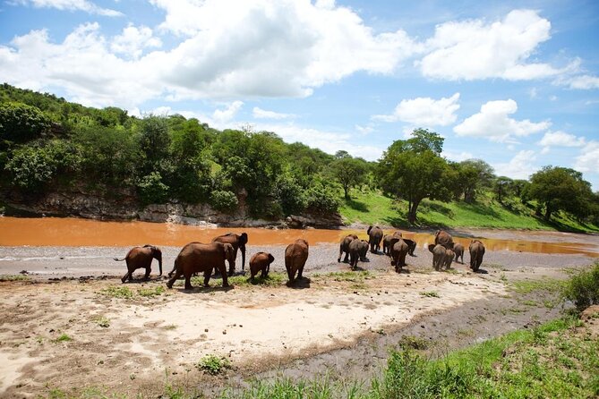 day trip tarangire - Key points to know before booking