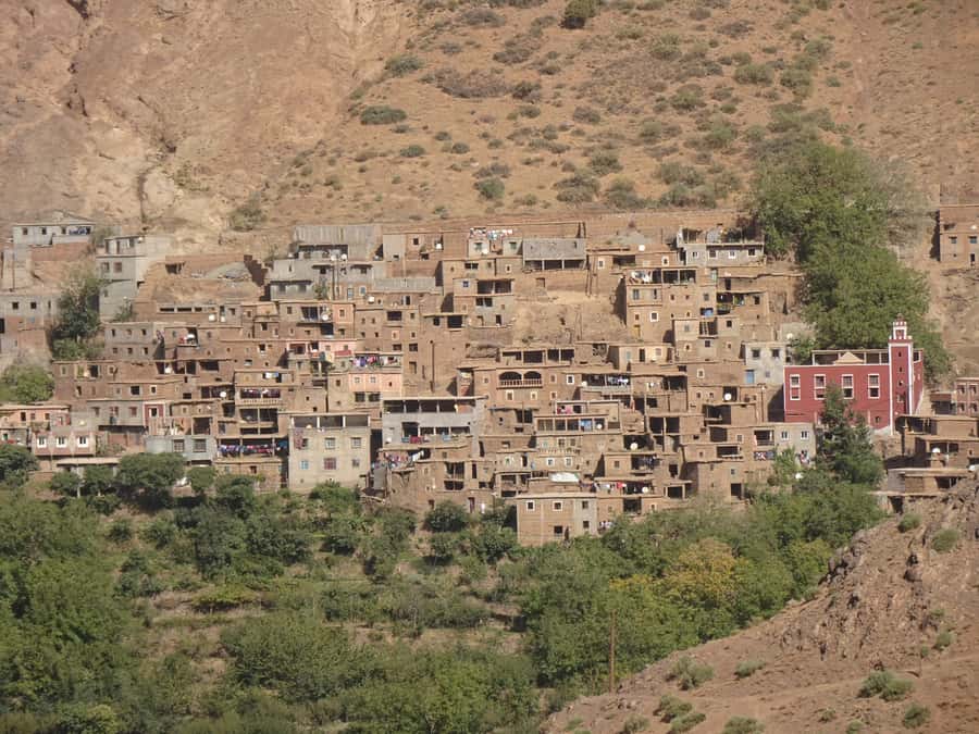 Day Trip To Atlas Mountain and Berber Village From Marrakech - Tea and argan oil at a women-run cooperative