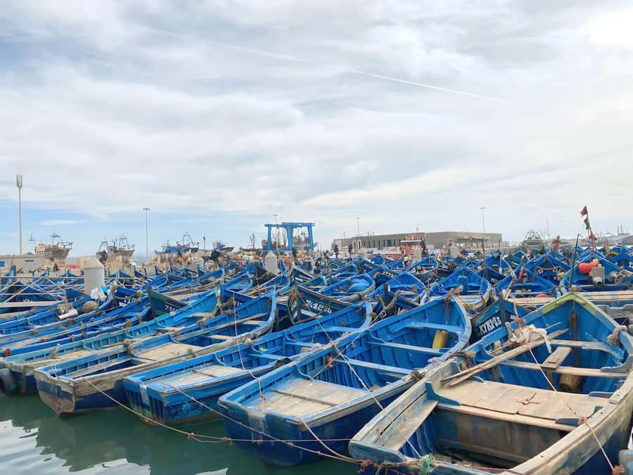 Day trip to Essaouira - From Marrakech heat to Essaouira sea air
