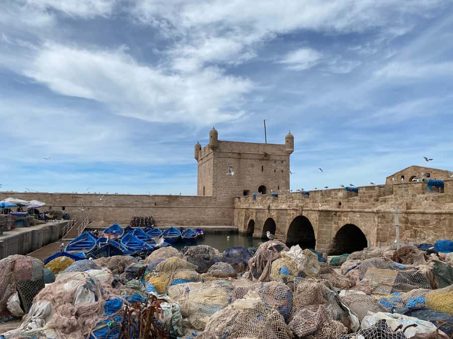 Day trip to Essaouira - Who should book this Essaouira day trip?