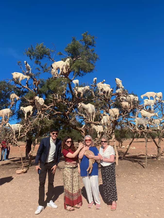 Day trip to Essaouira - The first roadside break after about 90 minutes