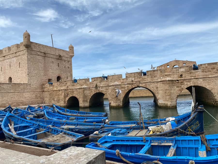 Day trip to Essaouira - Optional extras: camel ride or Jewish quarter