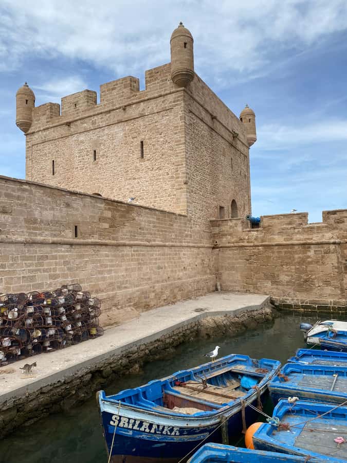 Day trip to Essaouira - Is $11 a fair price?
