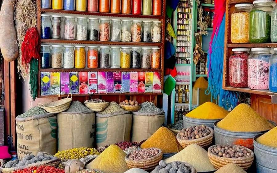 DAY TRIP TO ESSAOUIRA FROM MARRAKECH - Who should book this Essaouira day trip