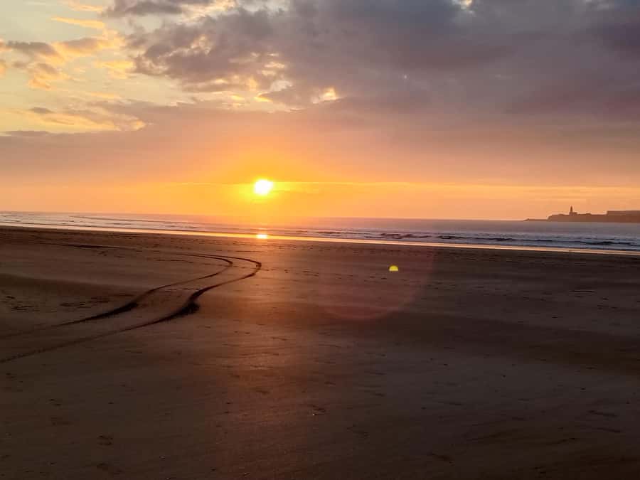 Day Trip To Essaouira From Marrakech With Guide - Seafood lunch and the freedom to choose