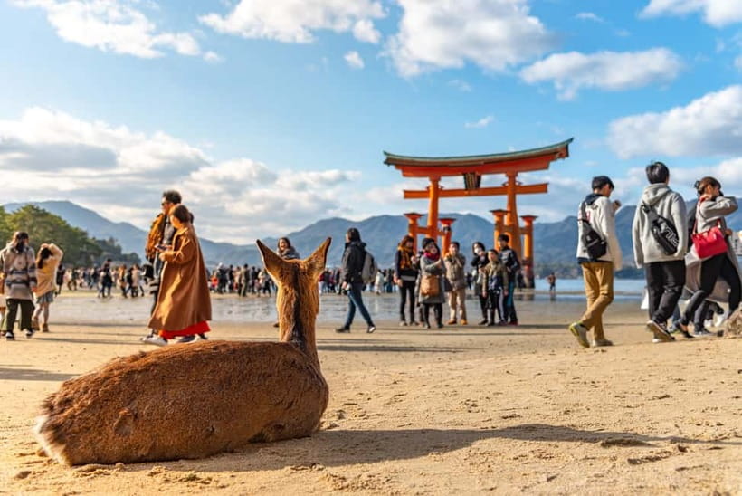 Day Trip to Hiroshima & Miyajima with Itsukushima Shrine - Key points to know before you book