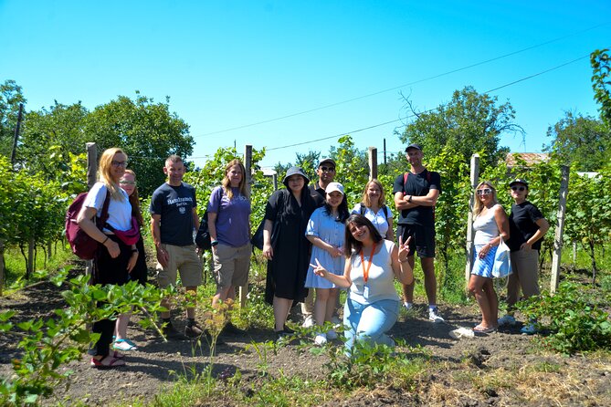 Day Trip to Kakheti Wine Region Including 9 Wine Tastings - The family qvevri cellar shows Georgia’s older wine tradition