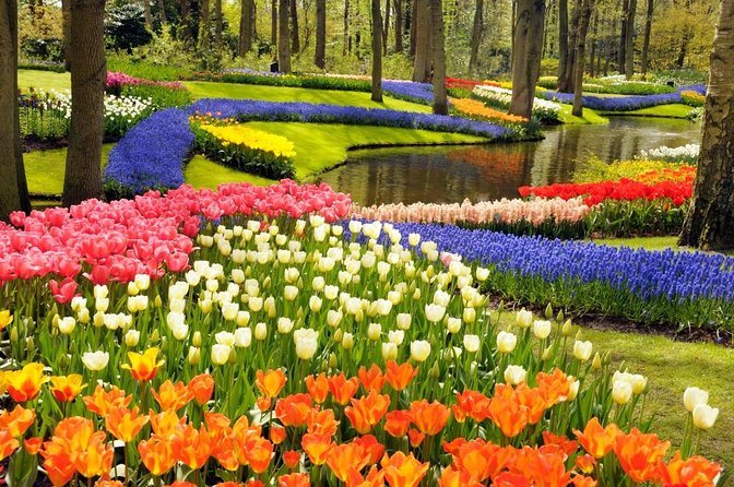Day Trip to Keukenhof Gardens from Amsterdam with Tour Guide - Key points to know before you book