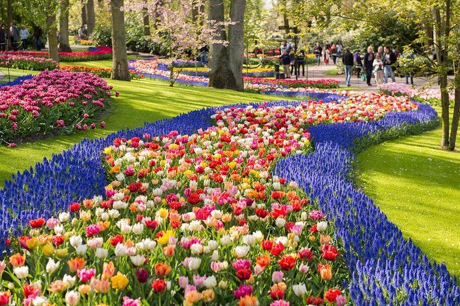 Day Trip to Keukenhof Gardens from Amsterdam with Tour Guide - Why Keukenhof is worth leaving Amsterdam for