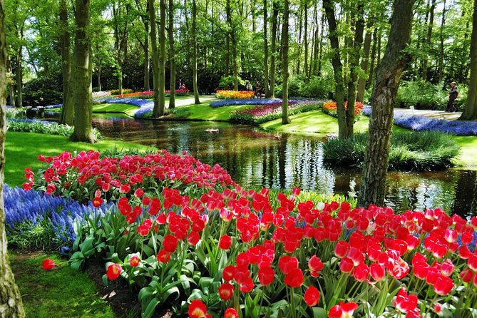 Day Trip to Keukenhof Gardens from Amsterdam with Tour Guide - Who should book this Keukenhof trip