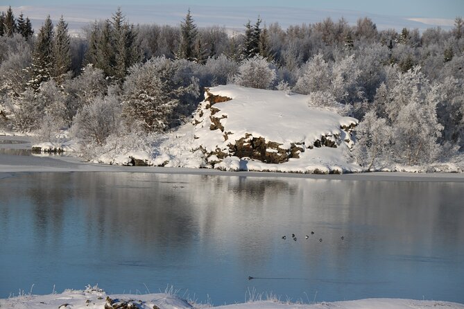 Day Trip to Lake Mývatn And The Nature Baths from Akureyri - The Mývatn Nature Baths: worth the added cost?