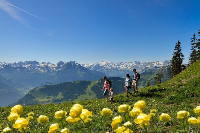 Day Trip to Lucerne and Mount Stanserhorn Including CabriO Cable Car Ride - Marmot Park and the Rondorama restaurant