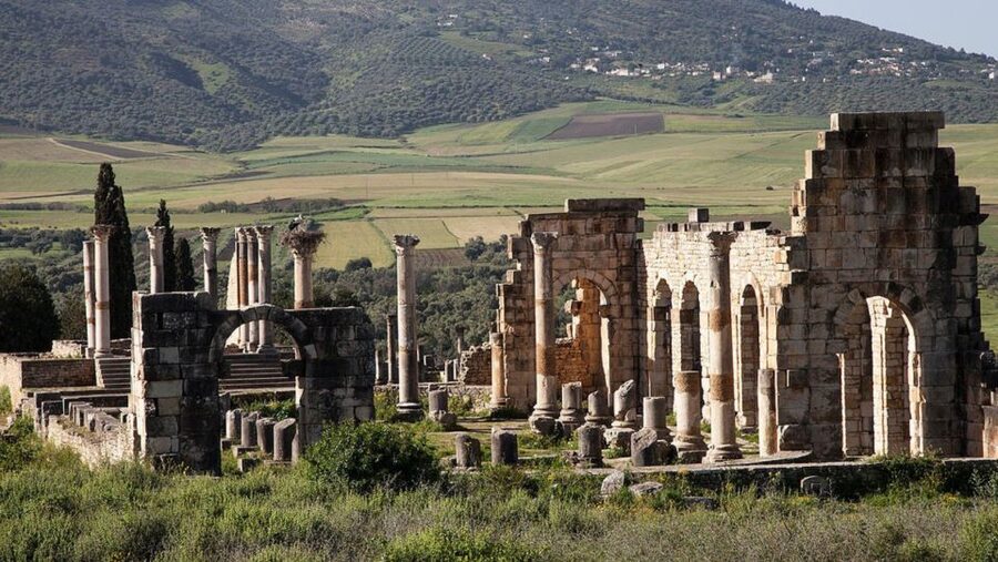 Day trip to meknes ,volubilis , moulay idris - Who should book this day trip?