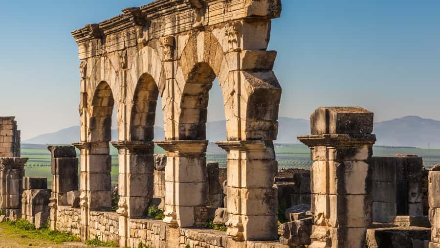 Day trip to meknes ,volubilis , moulay idris - Volubilis and its Roman mosaics