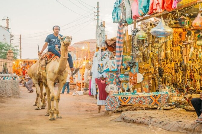 Day Trip to Nubian Village with Camel Tour from Aswan - Should you book the Nubian Village camel tour?