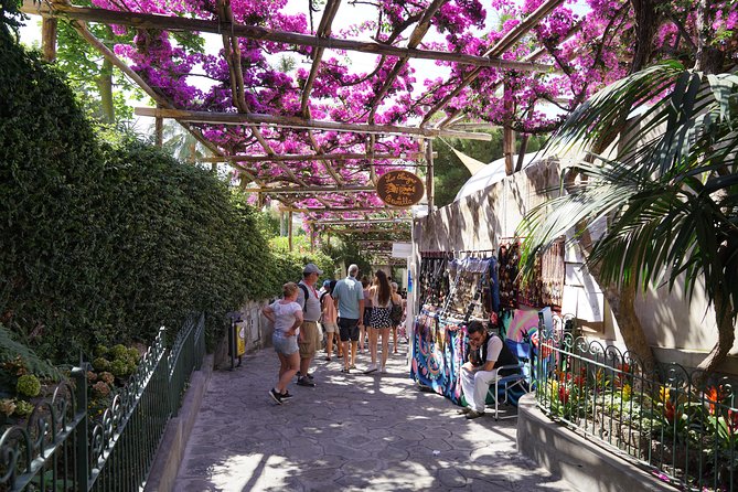 Day Trip to Positano, Amalfi & Ravello from Sorrento - The guide and driver make the difference