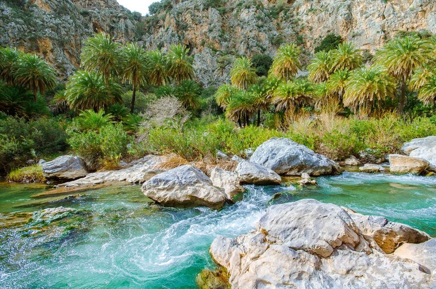 Day Trip to Preveli & Damnoni Beach & Rethymno City Tour - Damnoni gives you a second kind of beach day