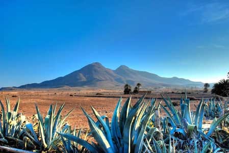 Daytrip to Cabo de Gata–Nijar Natural Park - Mermaid Reef and Cabo de Gatas volcanic coast