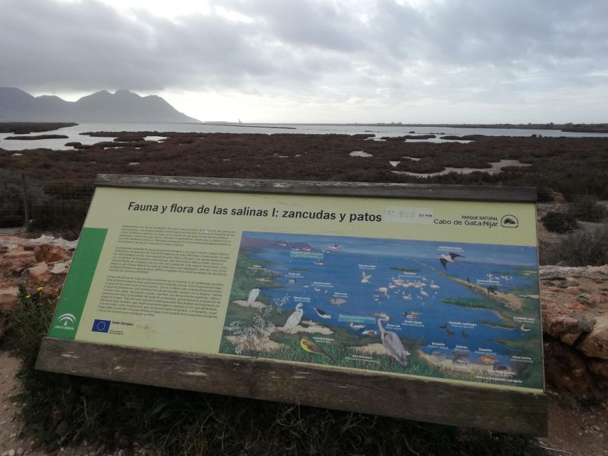 Daytrip to Cabo de Gata–Nijar Natural Park - What the guide adds to the day