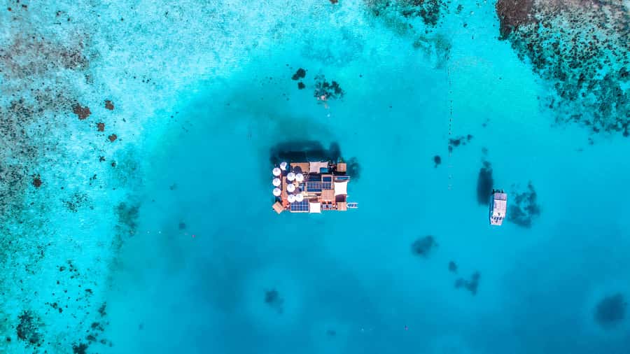 Denarau: Seventh Heaven Floating Bar Day Trip - Finding your place on the sundeck