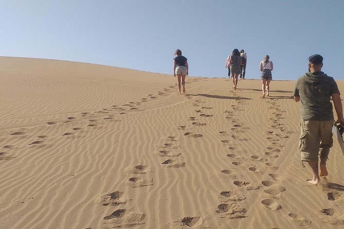 Desert and Wild Beach Day Trip with Meal - Leaving Agadir for the Anti-Atlas