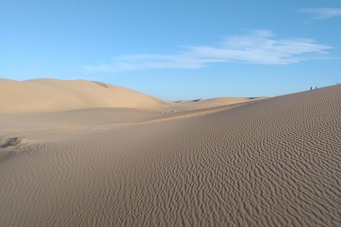 Desert and Wild Beach Day Trip with Meal - A possible pottery stop and useful shopping advice