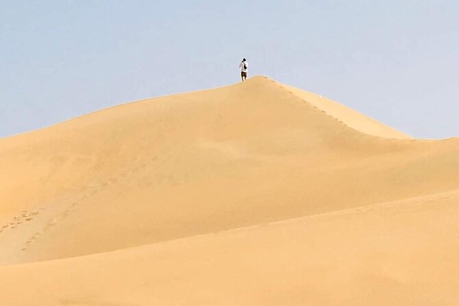 Desert and Wild Beach Day Trip with Meal - Guides, driving, and the private format