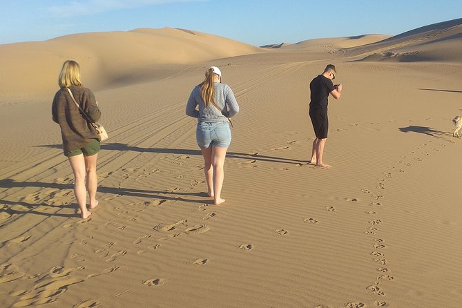 Desert and Wild Beach Day Trip with Meal - Is $52.34 a fair price?
