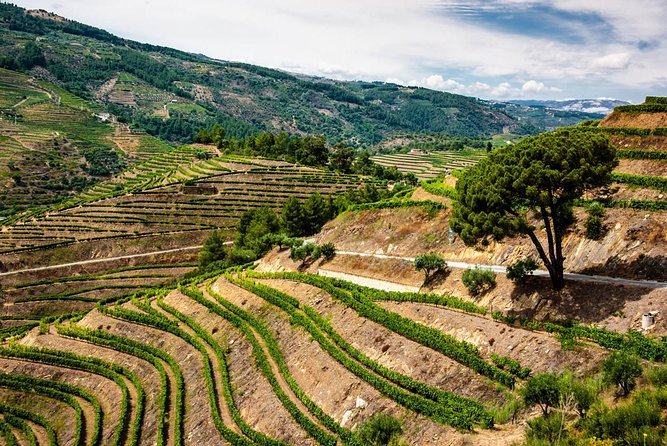 Douro Valley Private Day Trip including Boat Ride & Wine Tasting - Quinta do Infantado and the wine tasting