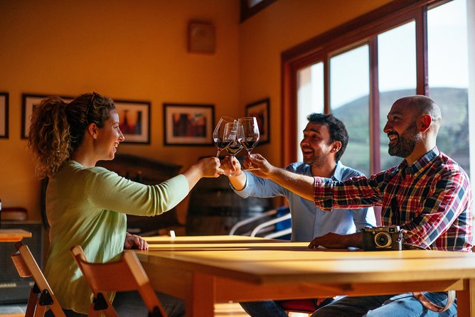 Douro Valley Private Day Trip including Boat Ride & Wine Tasting - What the private format is really worth