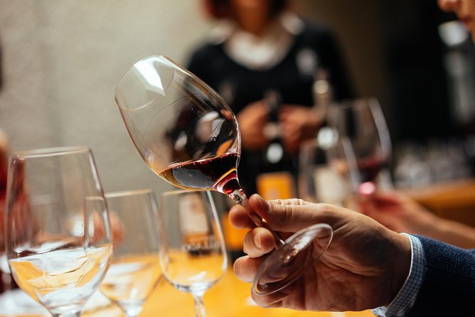 Douro Valley Private Day Trip including Boat Ride & Wine Tasting - The Douro River from a shared boat