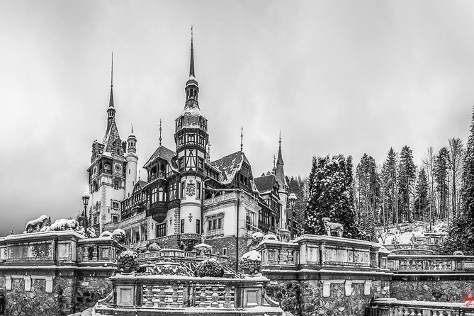Dracula's Castle, Peles Castle and Brasov - Private Day Trip from Bucharest - The price and the extra costs