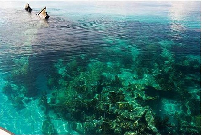 Dry Tortugas National Park Day Trip by Catamaran from Key West - Key points before you book