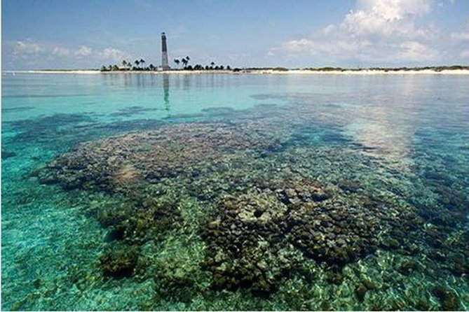 Dry Tortugas National Park Day Trip by Catamaran from Key West - What the ride back is really like