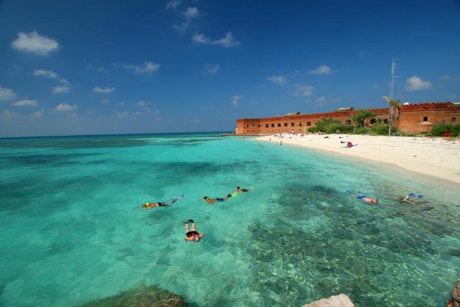 Dry Tortugas National Park Day Trip by Catamaran from Key West - Snorkeling around the coral reef