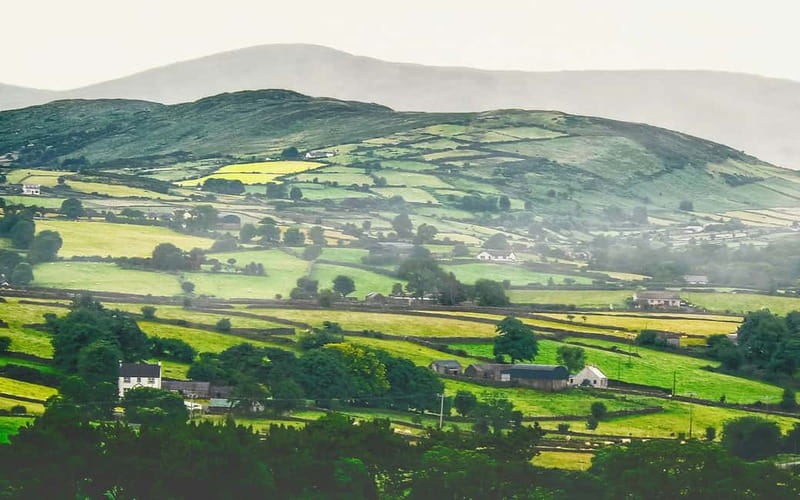 Dublin: Cliffs of Moher, Bunratty Castle and Ennis Day Trip - Who should book this experience