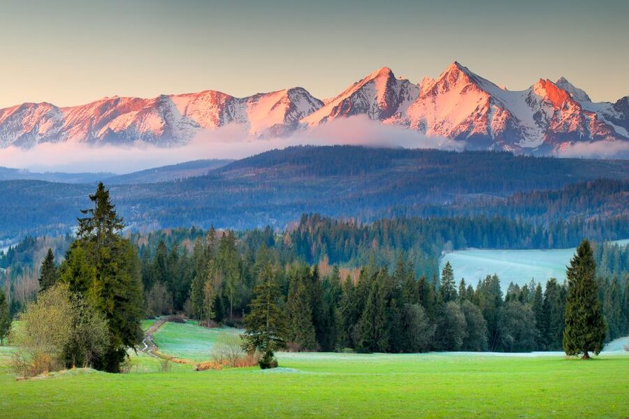 Dunajec River Gorge and Zakopane: Full-Day Trip from Krakow - What the drivers add to the day