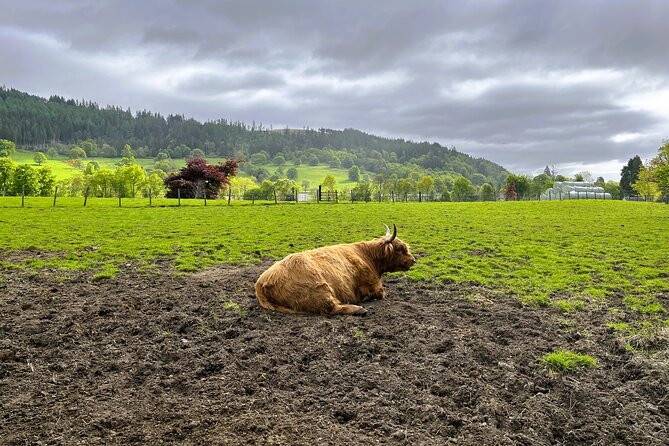 Edinburgh: Loch Ness, Glencoe & The Highlands - Fort Augustus gives you your Loch Ness choice