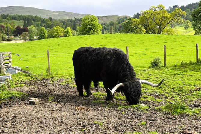 Edinburgh: Loch Ness, Glencoe & The Highlands - Pitlochry closes the day with a short pause